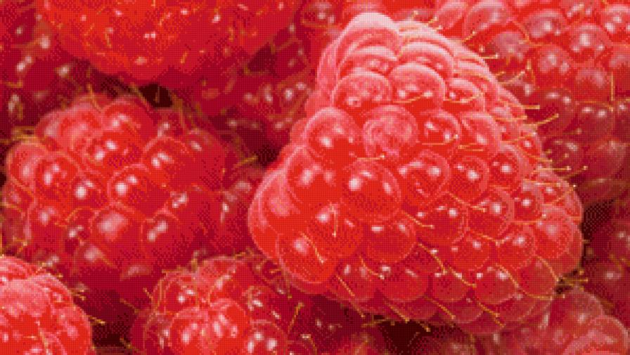 малина - малина, ягоды - предпросмотр