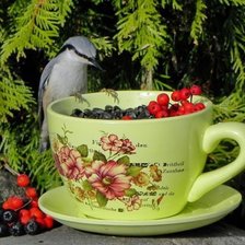 Схема вышивки «птицы»