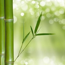 подушка Бамбук 2