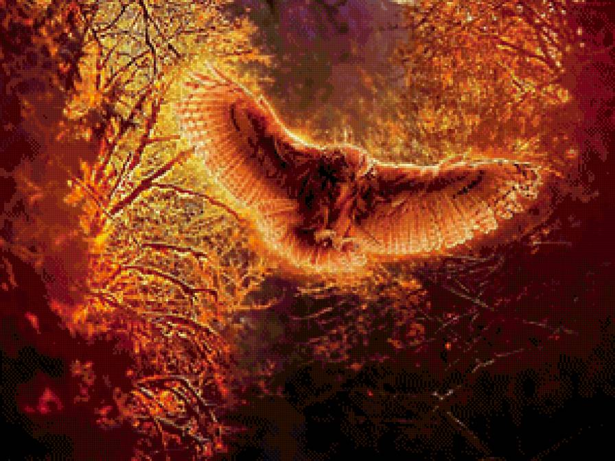 Огненная сова - птица, сова - предпросмотр