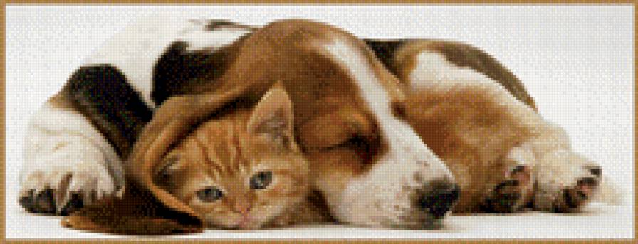 дружба - предпросмотр