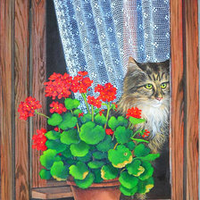 Схема вышивки «Кошка на окошке»