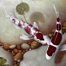 Схема вышивки «карпы кои»