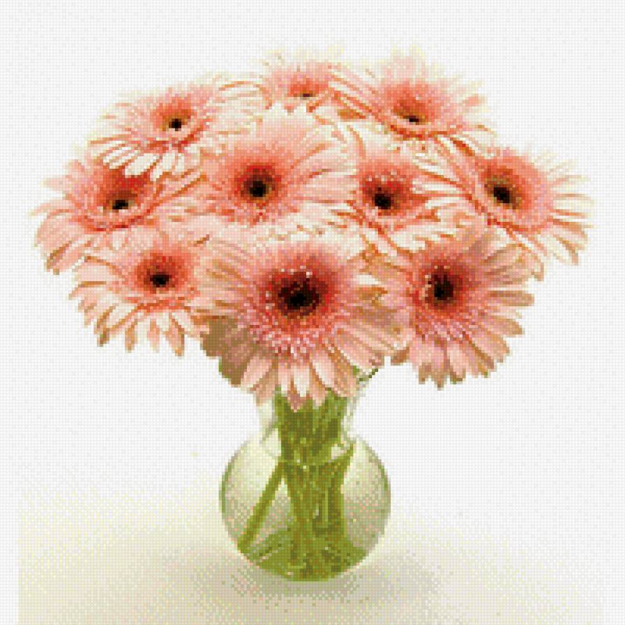 гербера - предпросмотр