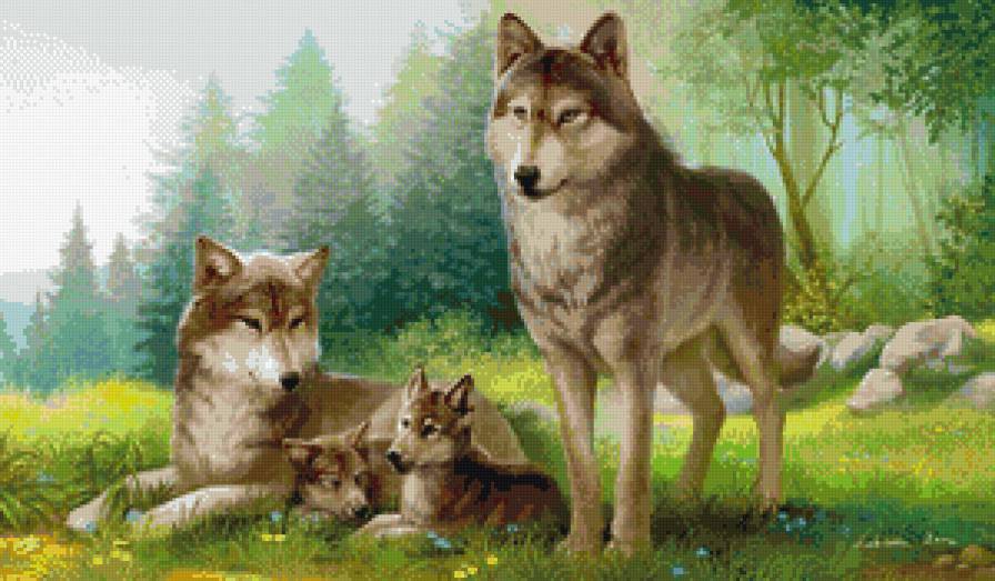 папа мама ты и я - волки, животные - предпросмотр