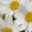 Предпросмотр схемы вышивки «натюрморт с ромашками» (№770214)