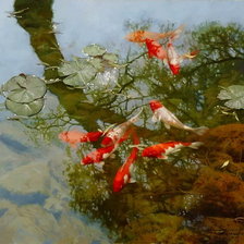 Схема вышивки «карпы кои»