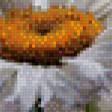 Предпросмотр схемы вышивки «Ромашки 3D» (№770277)