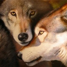 Схема вышивки «пара волков»