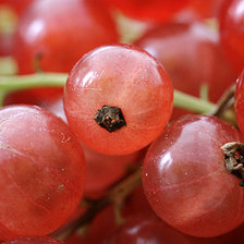 Схема вышивки «Смородинка»