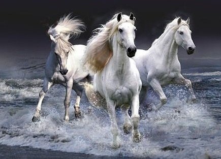 лошади - лошадь, животные - оригинал