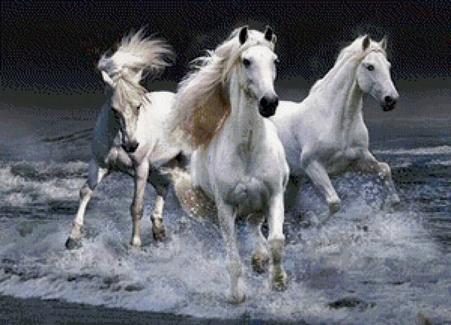 лошади - животные, лошадь - предпросмотр