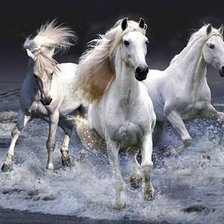 Схема вышивки «лошади»