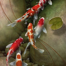 Схема вышивки «карпы кои»