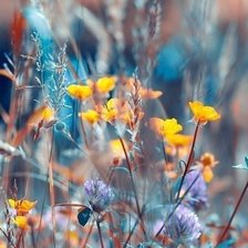 Схема вышивки «поле»