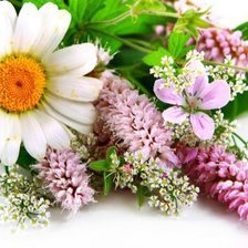 Схема вышивки «Цветы»