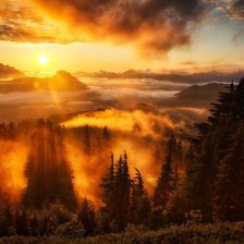 Схема вышивки «пейзаж»