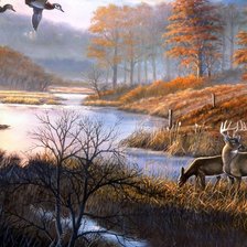 Схема вышивки «№770548»