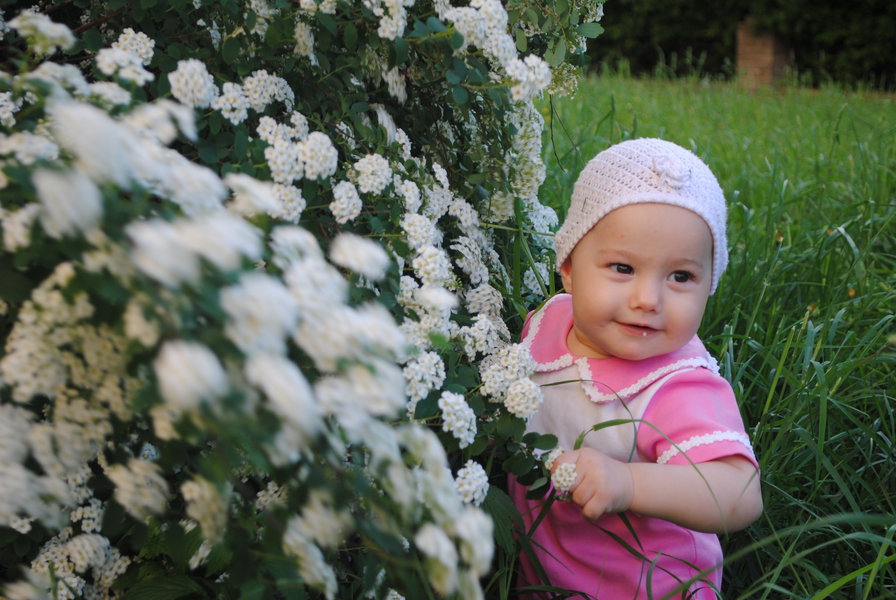 виктория - оригинал