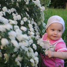 Схема вышивки «виктория»