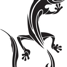 саламандра ч/б