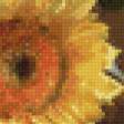Предпросмотр схемы вышивки «натюрморт» (№770881)
