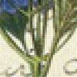 Предпросмотр схемы вышивки «№770915»