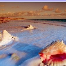 Схема вышивки «Ракушки»