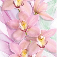 Схема вышивки «№771107»