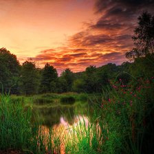 Схема вышивки «№771109»