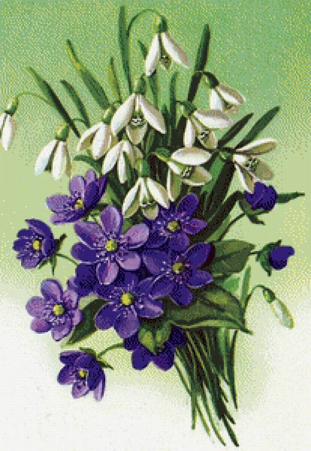 серия "цветы" - цветы.подснежники.фиалки - предпросмотр