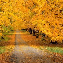 Схема вышивки «осень»