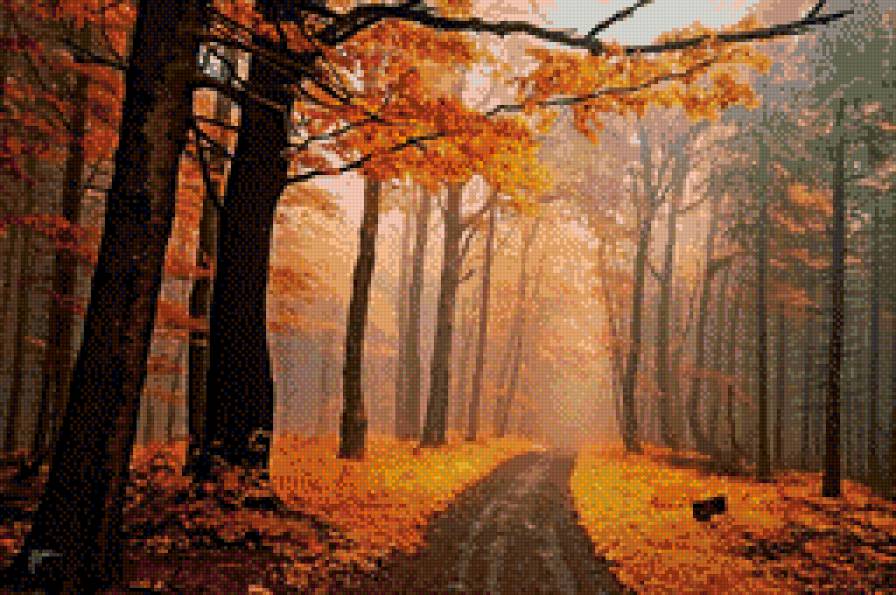 Дорога в осень. - осень, лес, рыжий, дорога, тайна - предпросмотр