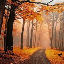 Схема вышивки «Дорога в осень.»