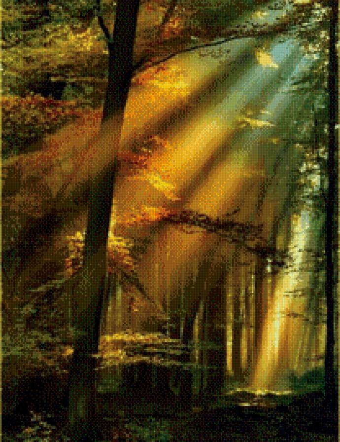 Лесное солнце. - лето, лес, лучи, солнце, мерцание, чаща - предпросмотр