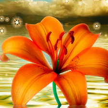 Схема вышивки «№771371»