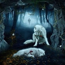 Схема вышивки «волки»