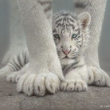 Схема вышивки «Тигр»