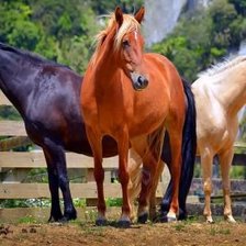 Схема вышивки «тройка»