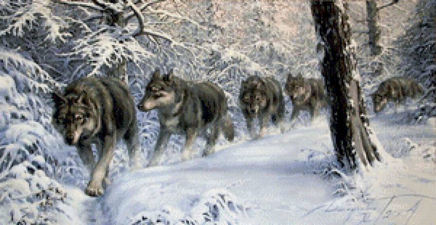 Животный мир - предпросмотр