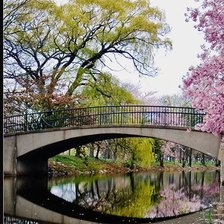 цветущая весна часть 1