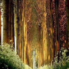 Схема вышивки «№771992»