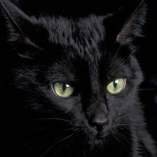 кто потревожил?