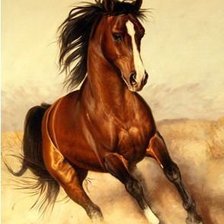 Схема вышивки «лошадь»