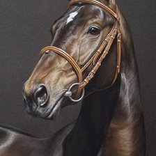 Схема вышивки «лошадь»