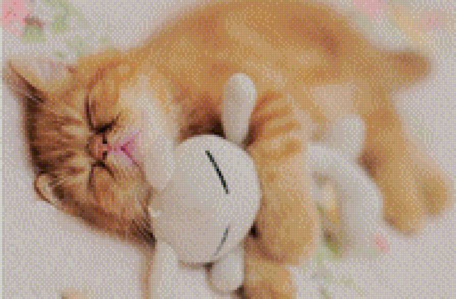 котя - животные, кошки - предпросмотр