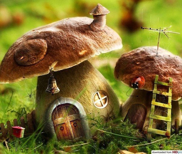 сказочные грибы 1 - природа, лето - оригинал