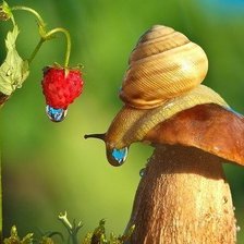 Схема вышивки «улитка»