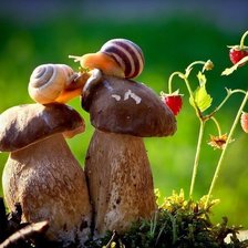 Схема вышивки «улитки»