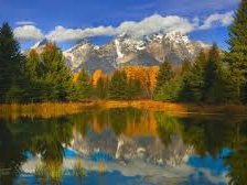 Схема вышивки «природа»